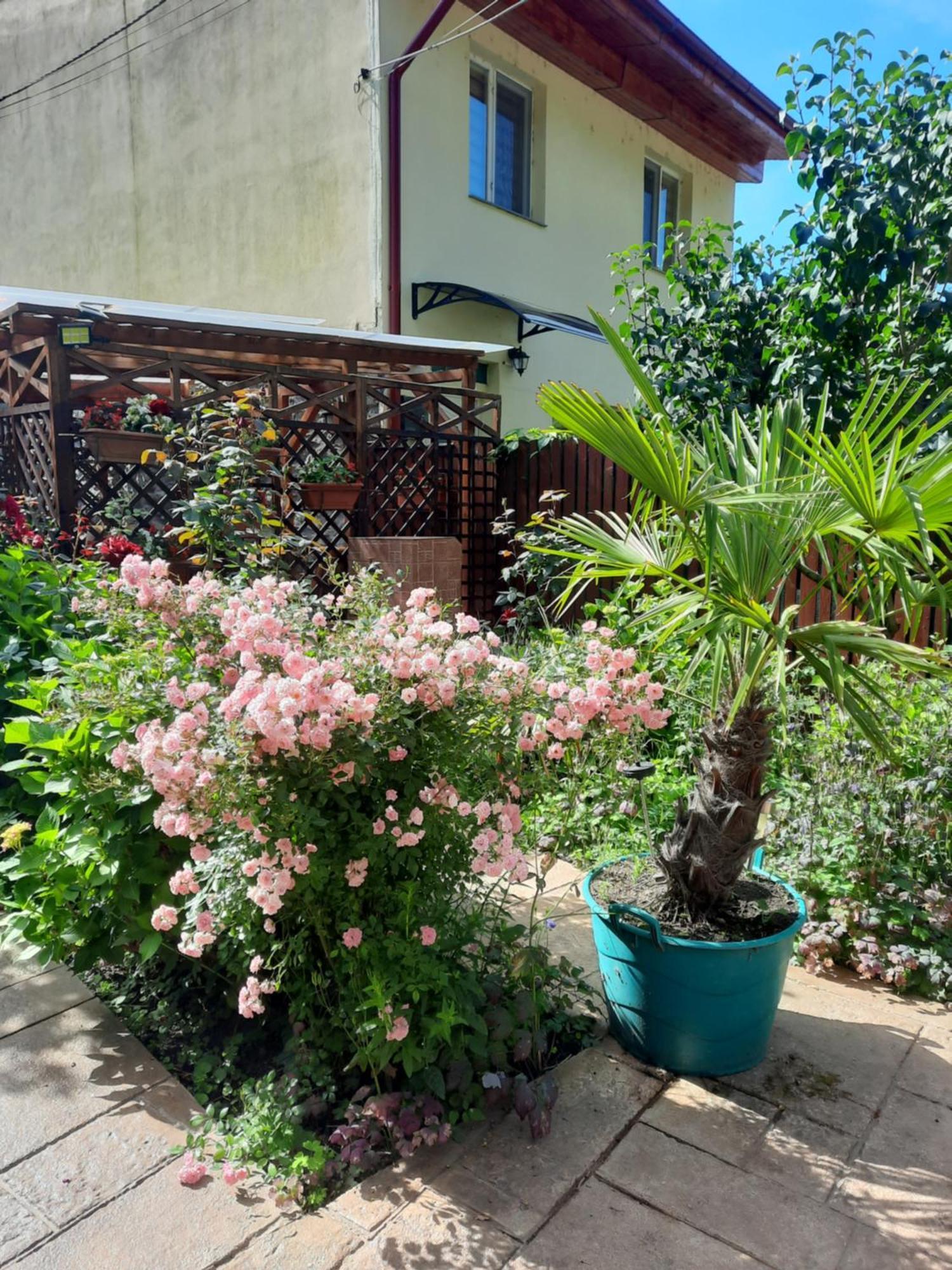 Pension Eden Băile Herculane Exterior foto