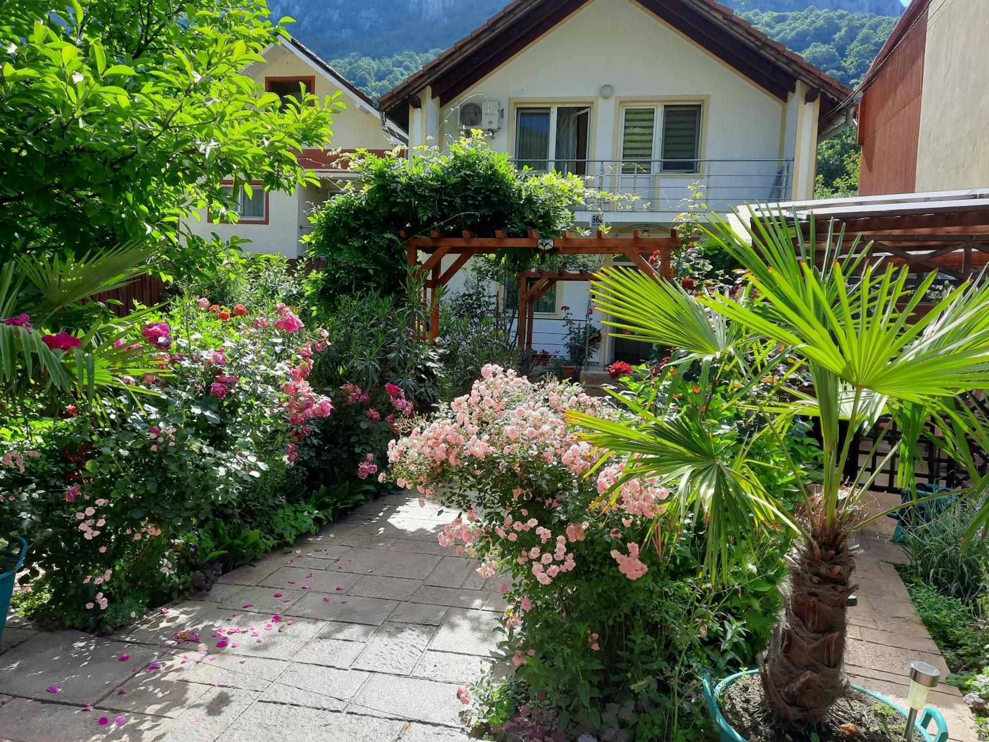 Pension Eden Băile Herculane Exterior foto